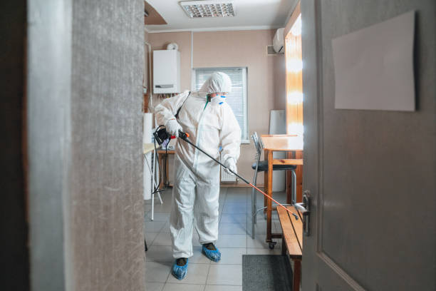 Best Residential Mold Inspection & Testing  in Weedpatch, CA