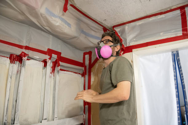 Best Mold-Related Health Consultation  in Weedpatch, CA