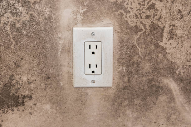  Weedpatch, CA Mold Removal Pros